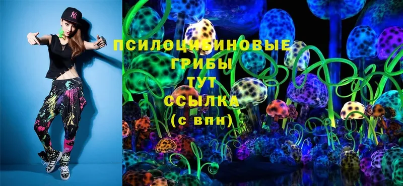 мега зеркало  Тырныауз  Псилоцибиновые грибы Cubensis 